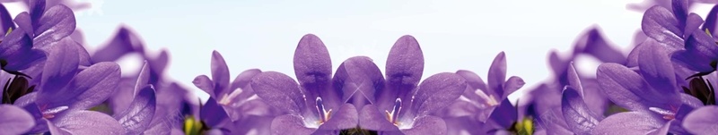 紫色炫彩化妆舞会海报psd设计背景_新图网 https://ixintu.com party 俱乐部 夜店 宴会 梦幻 活动海报 派对 浪漫 温暖 炫彩 紫色 绚丽 聚会 蒙面 酒吧华丽 面具 高贵
