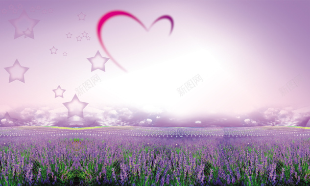 紫色薰衣草爱心背景图背景