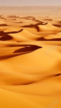 黄色沙漠质感风景H5背景背景