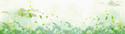 清香茉莉花嫩绿色背景高清图片