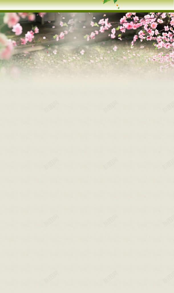 粉色梅花店铺装修页面jpg设计背景_新图网 https://ixintu.com 店铺 梅花 粉色 装修 页面