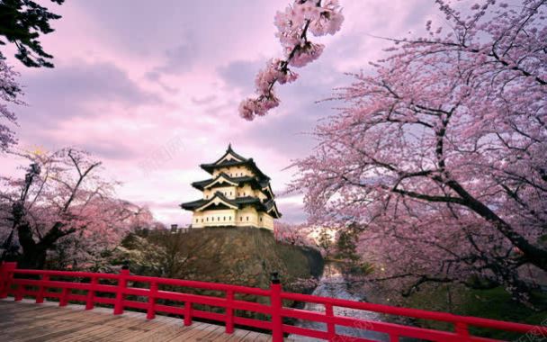 粉色樱花房屋小桥背景