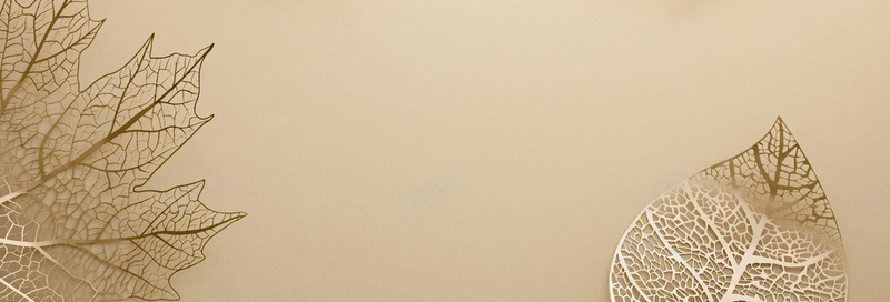 金色质感树叶海报bannerjpg设计背景_新图网 https://ixintu.com 化妆品 叶子 护肤品 树叶 海报banner 纹理 质感 金色树叶 金色背景