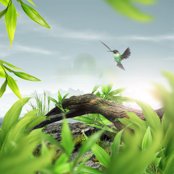 清新自然绿色鸟儿雅致清新自然化妆品背景高清图片