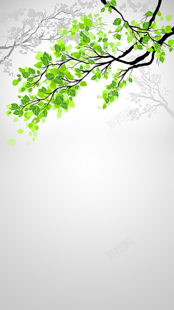 减肥名片绿色树叶清新风格的H5背景高清图片