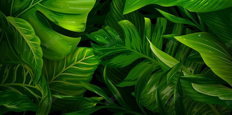绿色植物H5背景jpg_新图网 https://ixintu.com H5 H5背景 h5 化妆品 护肤品 摄影 植物 绿色 风景