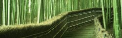 古香茶道清新竹林古道淘宝海报背景高清图片