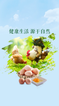 农副产品海报鸡蛋农副产品手机APP海报高清图片