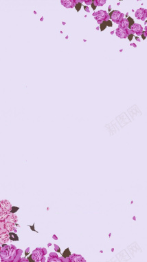 时尚花瓣淡紫色背景H5背景背景