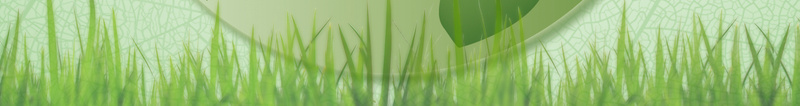绿色地球城市低碳生活宣传海报背景psd设计背景_新图网 https://ixintu.com 人人有责 低碳出行 低碳海报 低碳生活 保护环境 叶子 喧嚣 城市地球 海报背景 温暖 爱护环境 绿色