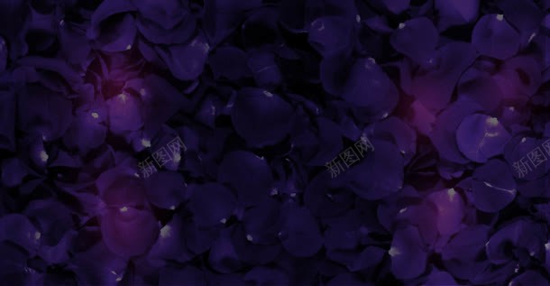 紫色炫酷花朵重叠背景