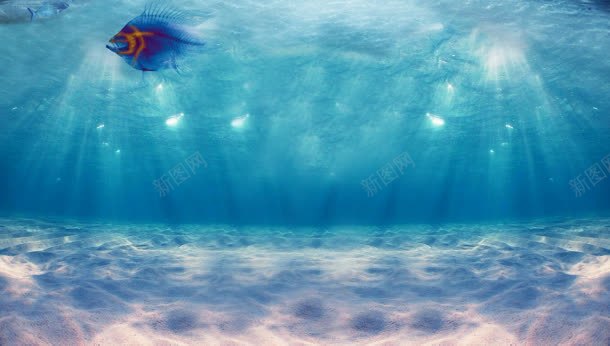 梦幻海底世界背景壁纸jpg设计背景_新图网 https://ixintu.com 世界 壁纸 梦幻 海底 背景