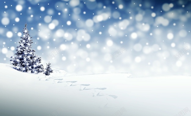 冬季雪花圣诞树背景
