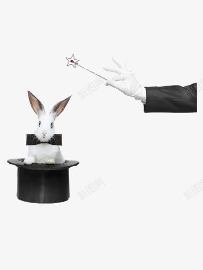 兔子与魔术师png免抠素材_新图网 https://ixintu.com 兔子 帽子 魔术师