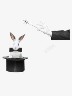 兔子与魔术师素材