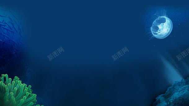 海底生物海报背景jpg设计背景_新图网 https://ixintu.com 海底 海报 生物 背景