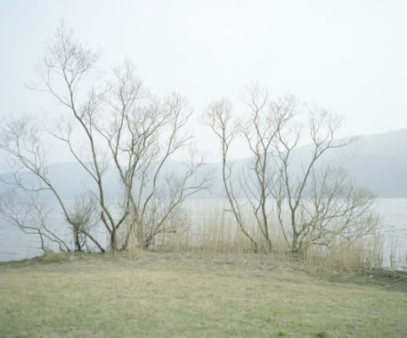 蓝天白云山峰海水树林背景