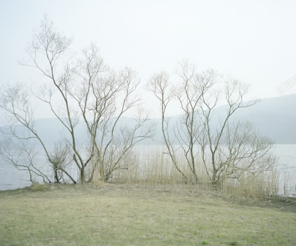 蓝天白云山峰海水树林jpg设计背景_新图网 https://ixintu.com 山峰 树林 海水 白云 蓝天