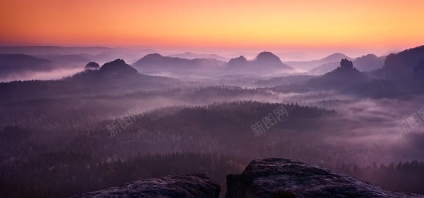 夕阳树林背景jpg设计背景_新图网 https://ixintu.com 夕阳 天空 树林