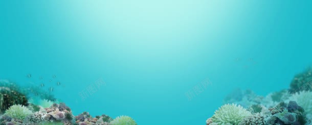海底纯净自然美丽jpg设计背景_新图网 https://ixintu.com 海底 纯净 美丽 自然