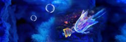 梦幻鱼海洋梦幻鱼背景banner高清图片