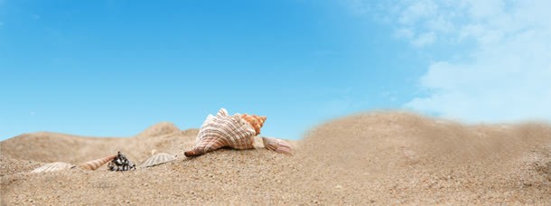海滩背景jpg设计背景_新图网 https://ixintu.com 夏季海滩 沙滩 海螺 白云 蓝天