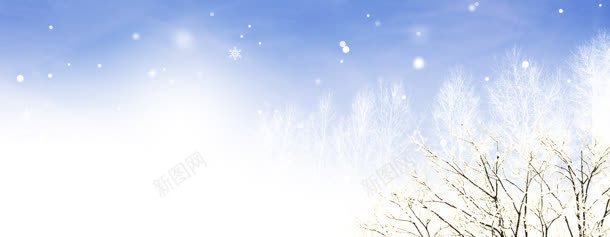 冬季背景jpg设计背景_新图网 https://ixintu.com 冬季 服装海报 树