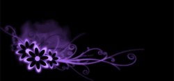 防盗水印紫色花朵背景高清图片