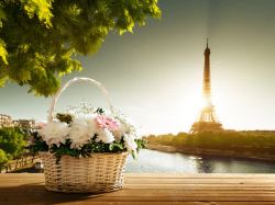 美丽铁塔美丽的花盆与铁塔的唯美高清图片