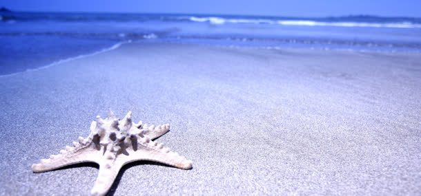 夏季清凉唯美非主流海滩背景背景