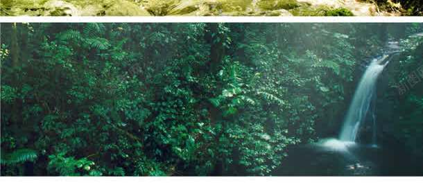 三亚度假村房子树木草本植物jpg设计背景_新图网 https://ixintu.com 三亚 度假村 房子 树木 草本植物
