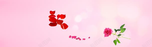 粉红色花瓣背景jpg设计背景_新图网 https://ixintu.com 玫瑰花 粉红色 花瓣
