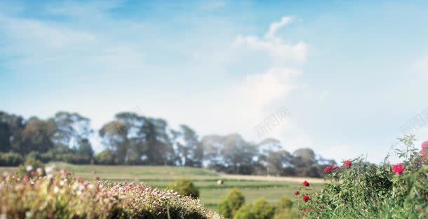 淘宝天猫首页背景