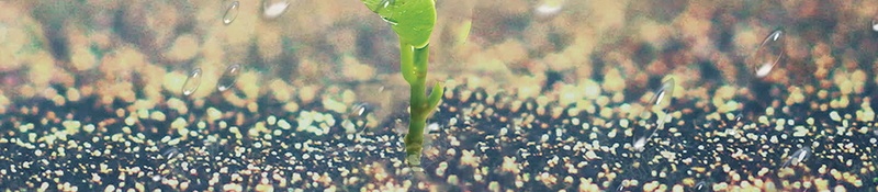 传统二十四节气雨水背景psd设计背景_新图网 https://ixintu.com PSD源文件 PSD素材 中国传统 中国文化 二十四节气 传统 传统雨水 你好雨天 分层文件 文化传统 背景模板 背景海报 背景素材 雨水 雨水天气 雨水节气 高清背景