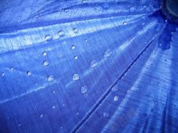 雨伞高清图片雨伞上的水珠背景高清图片