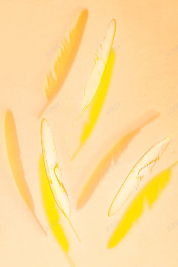 黄色飘落的羽毛海报背景jpg设计背景_新图网 https://ixintu.com 海报 羽毛 背景 飘落 黄色