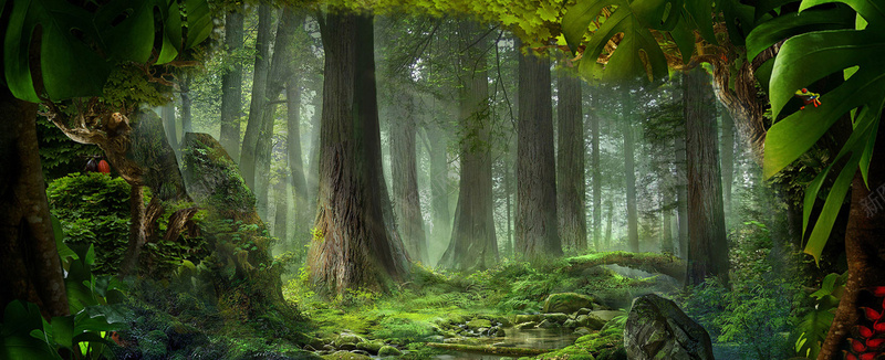 风景背景森林背景jpg设计背景_新图网 https://ixintu.com 摄影风景 梦幻 森林 森林背景海报banner 浪漫 海报banner 绿树 风景背景森林背景免费下载