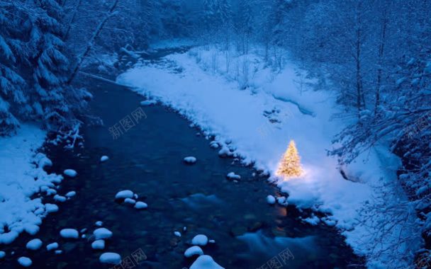 雪后的圣诞节灯光树背景