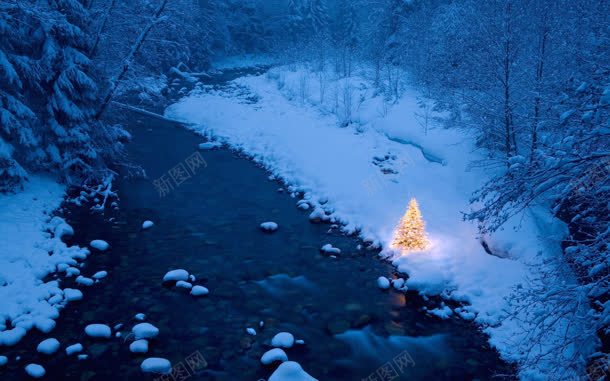 雪后的圣诞节灯光树jpg设计背景_新图网 https://ixintu.com 圣诞节 灯光 雪后