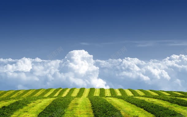 蓝天白云朵朵植物绿地jpg设计背景_新图网 https://ixintu.com 朵朵 植物 白云 绿地 蓝天