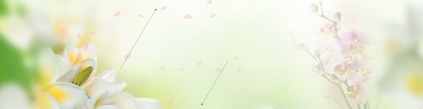 护肤品朦胧清新背景bannerjpg设计背景_新图网 https://ixintu.com banner 护肤品 朦胧 清新 背景