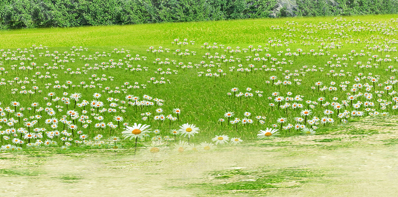 小清新绿色草地小花psd分层H5背景psd设计背景_新图网 https://ixintu.com H5 psd分层 小清新 小花 开心 摄影 温暖 白云 绿色 草地 蓝天 阳光 风景