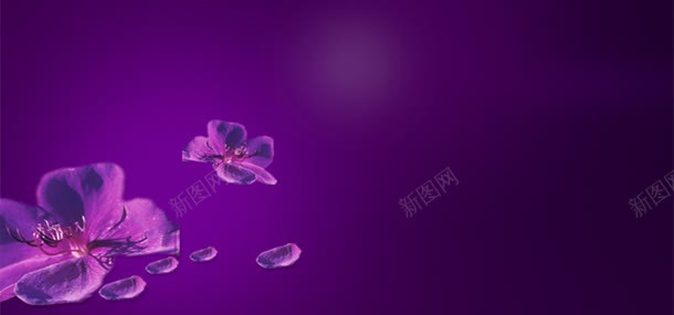 紫色化妆品背景背景