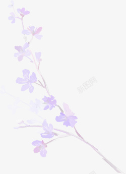 紫色漂亮花枝素材