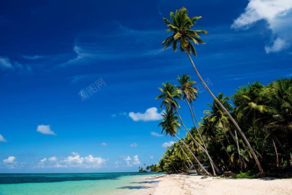 蓝天白云海水沙滩椰树背景