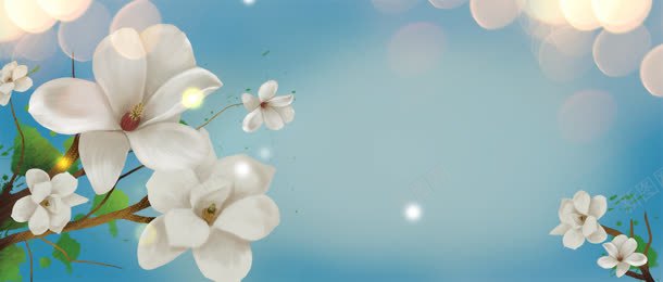 化妆品护肤品面膜清新花光束背景bannerjpg设计背景_新图网 https://ixintu.com banner 光束 化妆品 护肤品 清新 背景 花 面膜