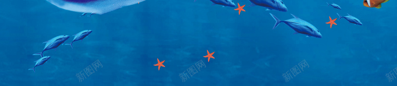 奇妙海洋海底世界海报psd设计背景_新图网 https://ixintu.com 水族馆 海底世界 海星 海洋 海洋生物 海豚 深海鱼 热带鱼 蓝色 贝壳 鲸鱼