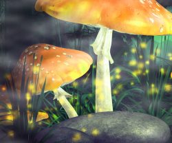 蘑菇石头森林中的黄色蘑菇高清图片