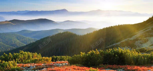 阳光天空山峰背景jpg设计背景_新图网 https://ixintu.com 天空 山峰 树林 自然风光