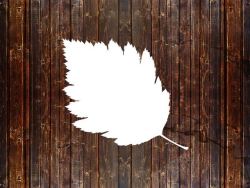 枫叶剪影叶子与木板背景高清图片